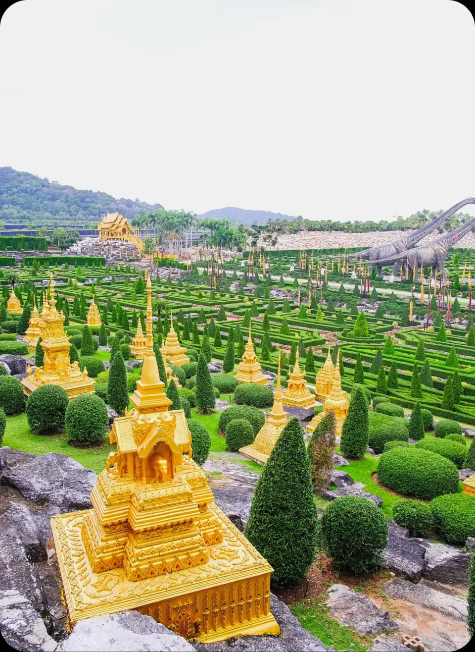 Nong Nooch