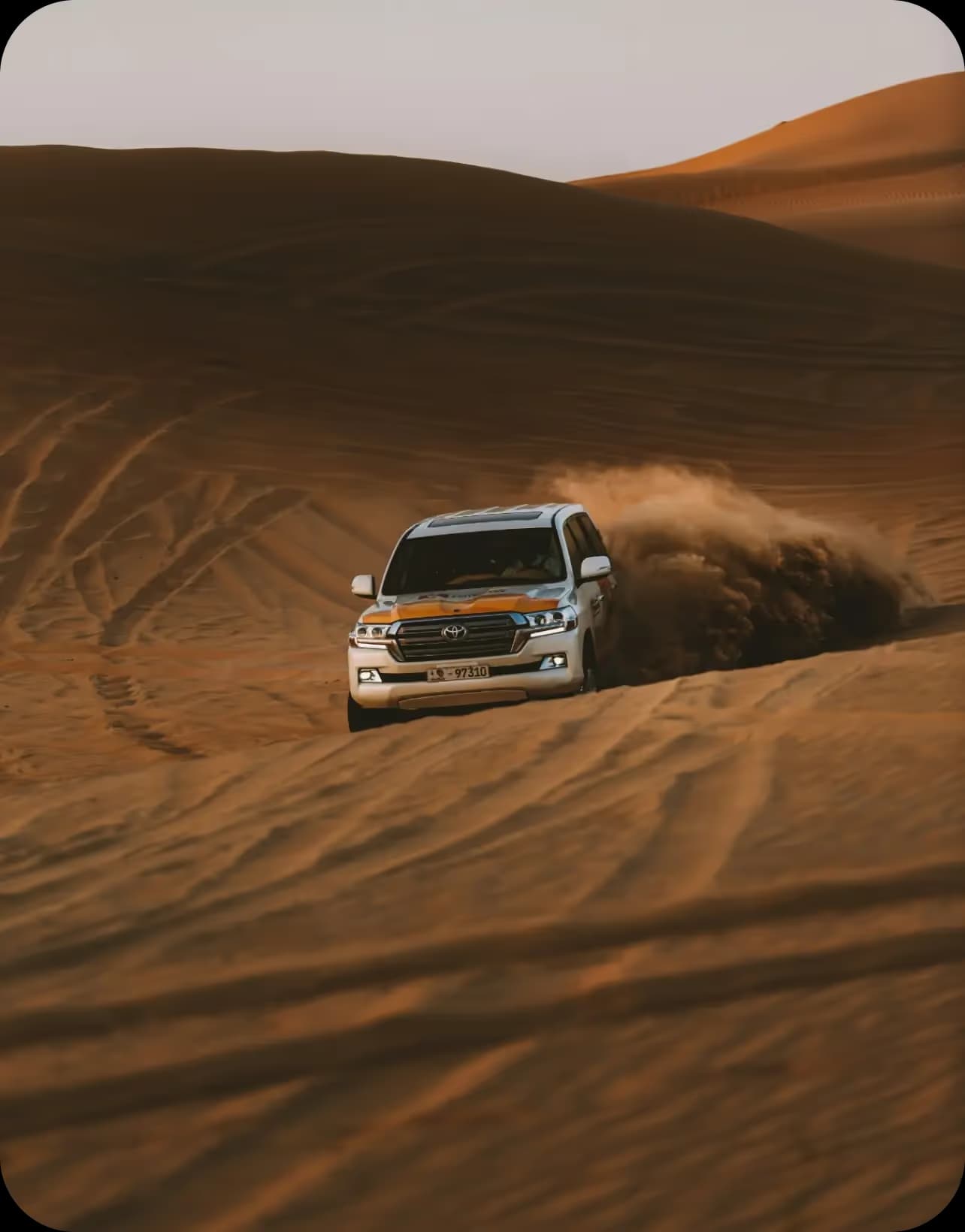 Desert safari
