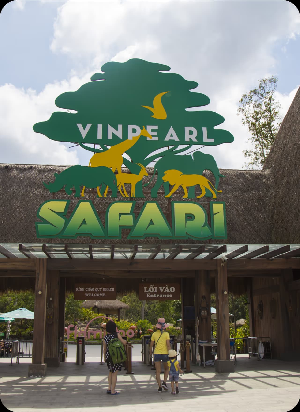 Vin Safari