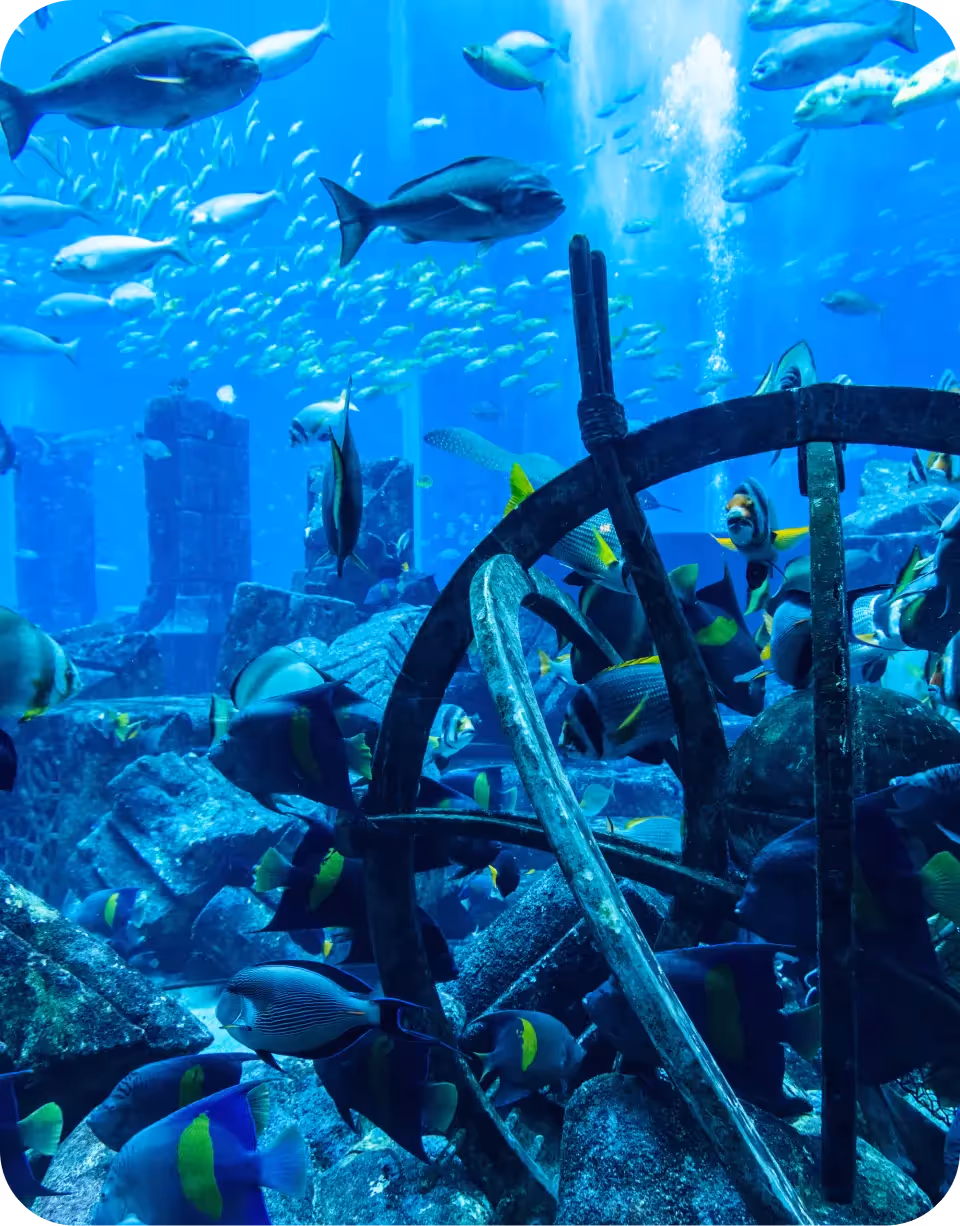 Aquaventure Lost Chambers