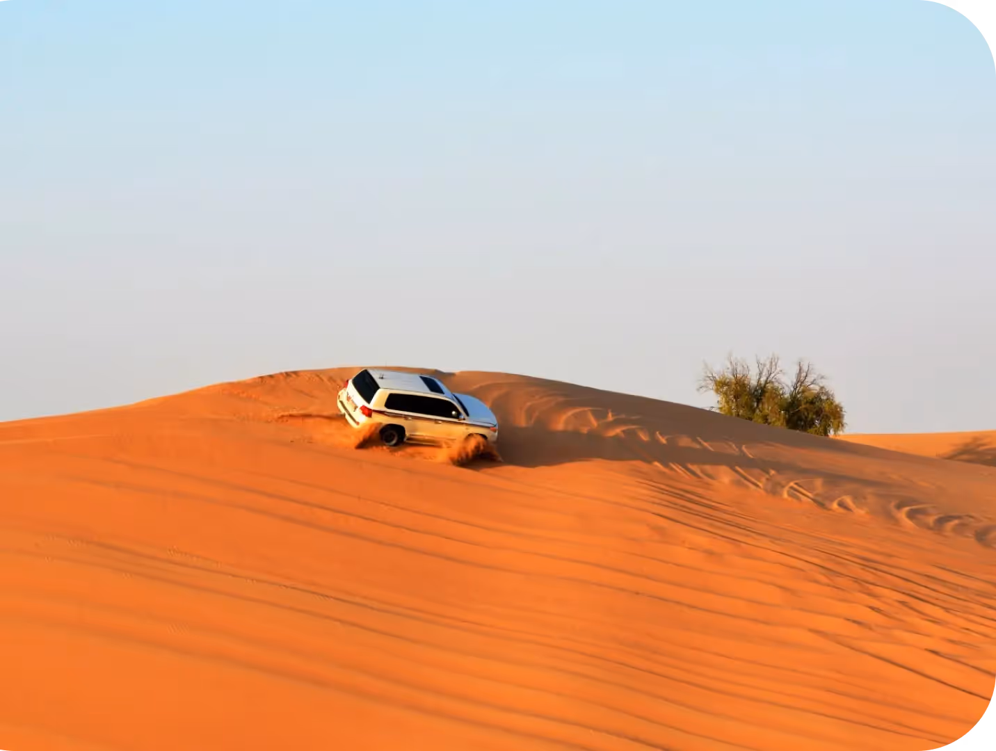 Desert safari