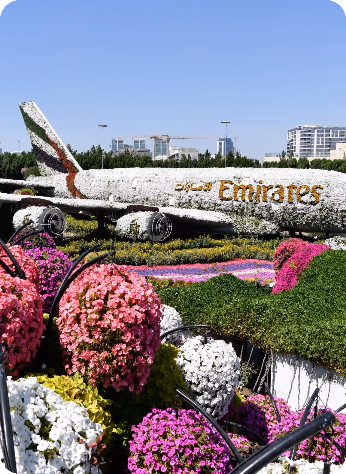 Miracle Garden