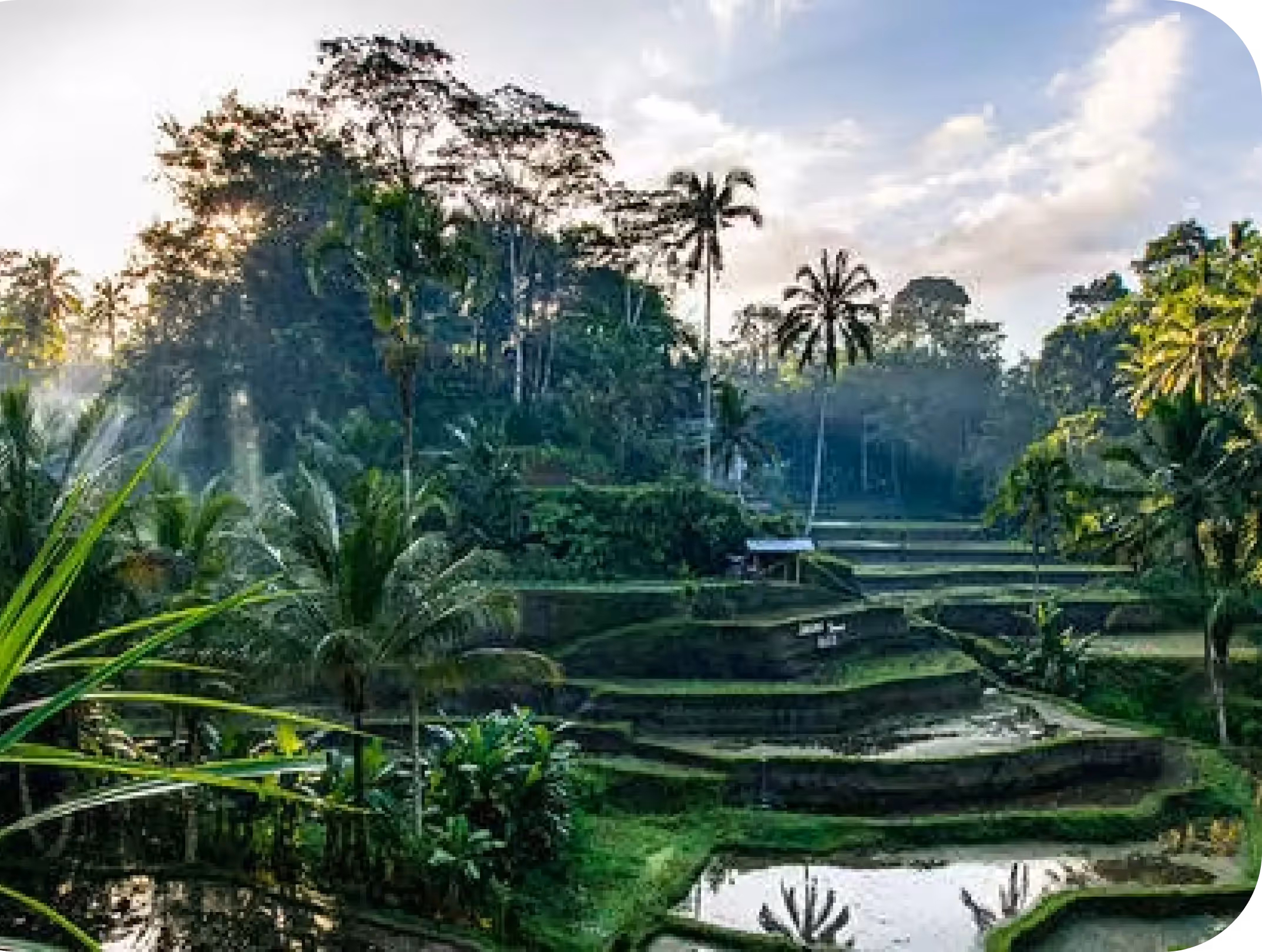 Ubud
